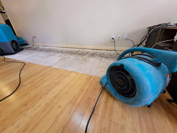 Professional Water Damage Repair technician working in Bryn Mawr, PA